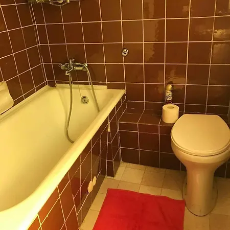 Somlyay's Summer House アパート *